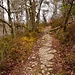 Aufstieg aus dem Tal des Ruisseau d'Auze*