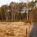Moorgebiet *
