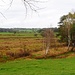 Marais de Cassan *