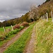 bei Polminhac