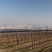 zurück nach Wien