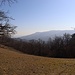 Blick hinüber zum Kahlenberg, dazwischen das Tal von Weidling