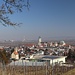 im Anstieg auf den Buchberg