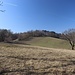 auf dem Buchberg