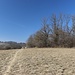 auf dem Buchberg geht es südwärts dahin