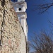 auf dem Leopoldsberg