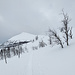 Blick zum Gipfel