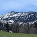 Der Leistchamm.