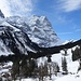 zurück auf der Schwarzwaldalp
