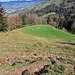 Blick zurück: Über diese Wiese bin ich hochgekommen.