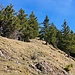 Grataufstieg in der Sonne.
