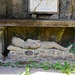 passend zum Karfreitag: Eremitenhöhle bei Thiézac  *
