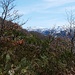 zum Plomb du Cantal