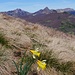 Karfreitag vor dem Puy Griou *