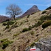 nochmals Puy Griou