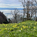 Panorama vom Ankenhubel