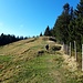 Kurzer Sprint dem ersten Gipfel entgegen.