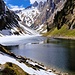 In einem Monat blühen evtl. dann die Alpenblumen