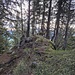 Gipfelgrat