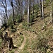 Kurz vor der Stelle, an der ich den Aufstiegsversuch im Südrücken probiere.

Von der Tour gibt es kaum Fotos, weil es einfach nicht klappt, irgendetwas Markantes oder Informatives in den Steilflanken festzuhalten. 
