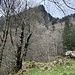 Wenig informativer Blick von der Wiese "Tal" zum Spitzeren-Gipfel. Die beiden Ostgrate und die Rinne dazwischen erkennt man eigentlich erst, wenn man über den Graben gekraxelt ist.