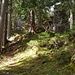 Flacher Bereich unter der Gipfelwand des Baumgartenkopfs