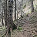 Das breite steile Wegtrasse ist meist durchgehend bis zur verfallenden Hütte auf 1820 erkennbar