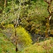 Cère-Tal 