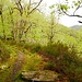 Cère-Tal 