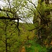 im Cère-Tal 