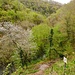 Cère-Tal 