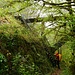 Aufstieg zur Passerelle de Siran