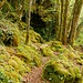 im Cère-Tal 