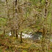 Cère-Tal 