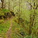 Weg im Cère-Tal 