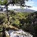 nach Norden in Richtung Waldbuckelland