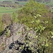 Stříbrník, Nebengipfel