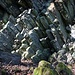 Stříbrník, Basalt