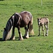 Blondine mit scharfer Frisur und Nachwuchs