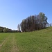 Liebliches Wiesentälchen