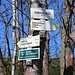 Wanderwegweiser
