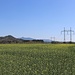 Hoch-spannendes Bild