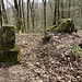 ein sehr alter Grenzstein auf dem "Dreiländereck" ...