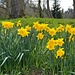 ... Richtung Friedhof Neuenhof