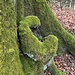 origineller Baumwuchs