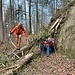 ein Baumhindernis auf dem Abstieg ...