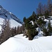 Die eigentliche Skiroute führt unterhalb im Talgrund. Ich folge den Spuren auf dem schneebedeckten Alpweg.