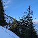 Seitenblick beim Aufstieg.