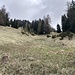Hier steige ich - der Wanderweg kurz hintermir - direkt die Wiese hoch und in den Waldinel in Bildmitte
