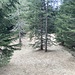 Die Hütte auf 1606hm